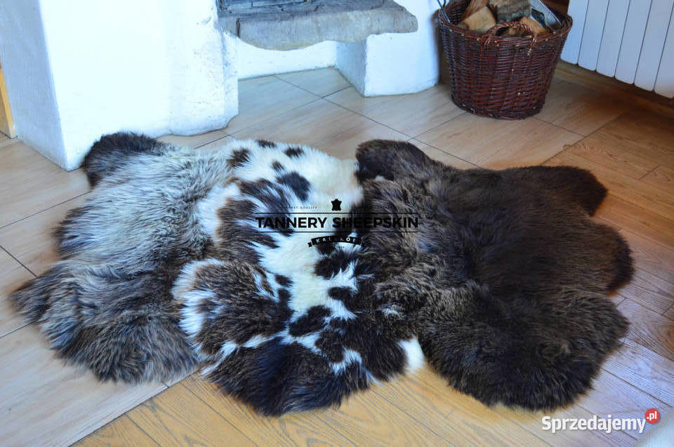 Skóry Owcze w Kolorach Naturalnych wielokolorowy Szaflary