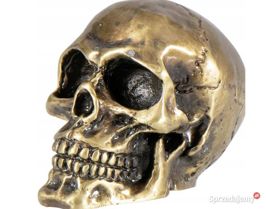 CZASZKA CZACHA NA BŁOTNIK MOTOCYKLA Z METALU Sosnowiec