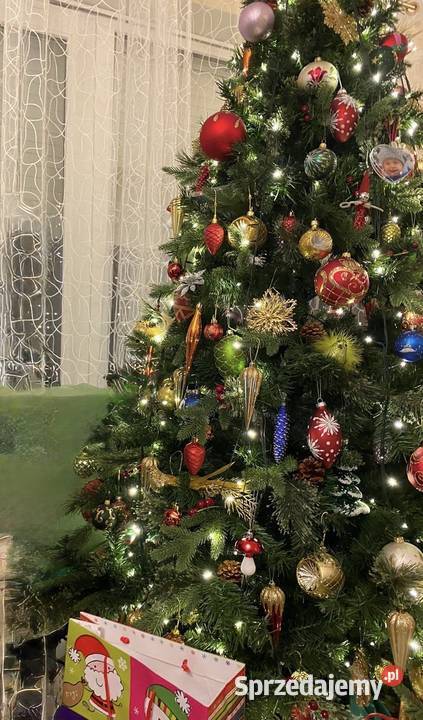 Piękna gęsta choinka 180m Warzymice