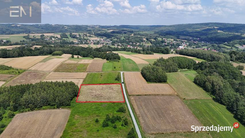 Grunt na sprzedaż Nawsie 3228 metrów 3228m2