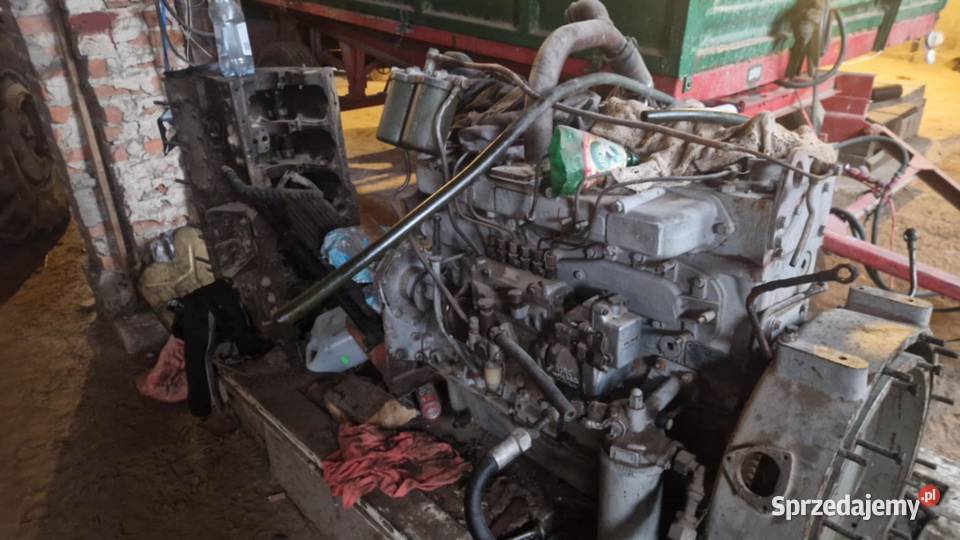 Silnik do bizona Andoria Leyland z Turbem nieuszkodzony Przymiarki