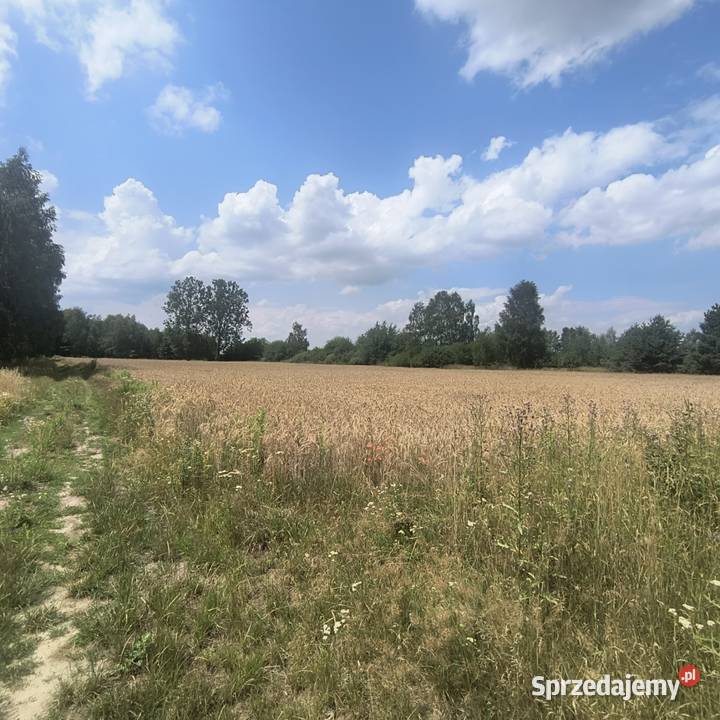 Do sprzedania działka rolnobudowlana Bęczkowice Poduchowne sprzedam