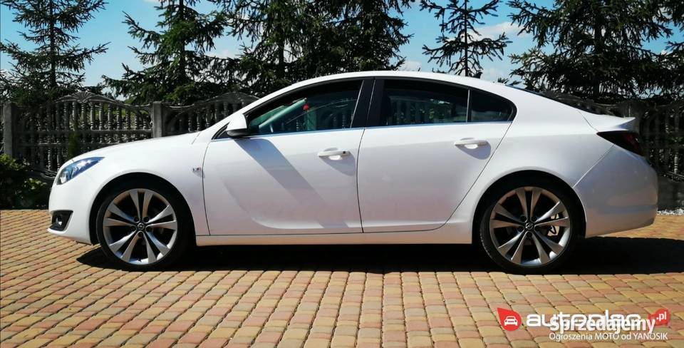 Opel Insignia Tuchów