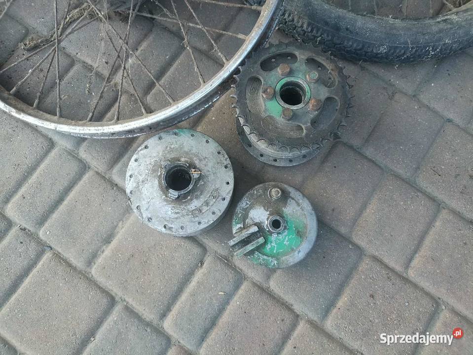 Koła komar zachodniopomorskie Moczkowo