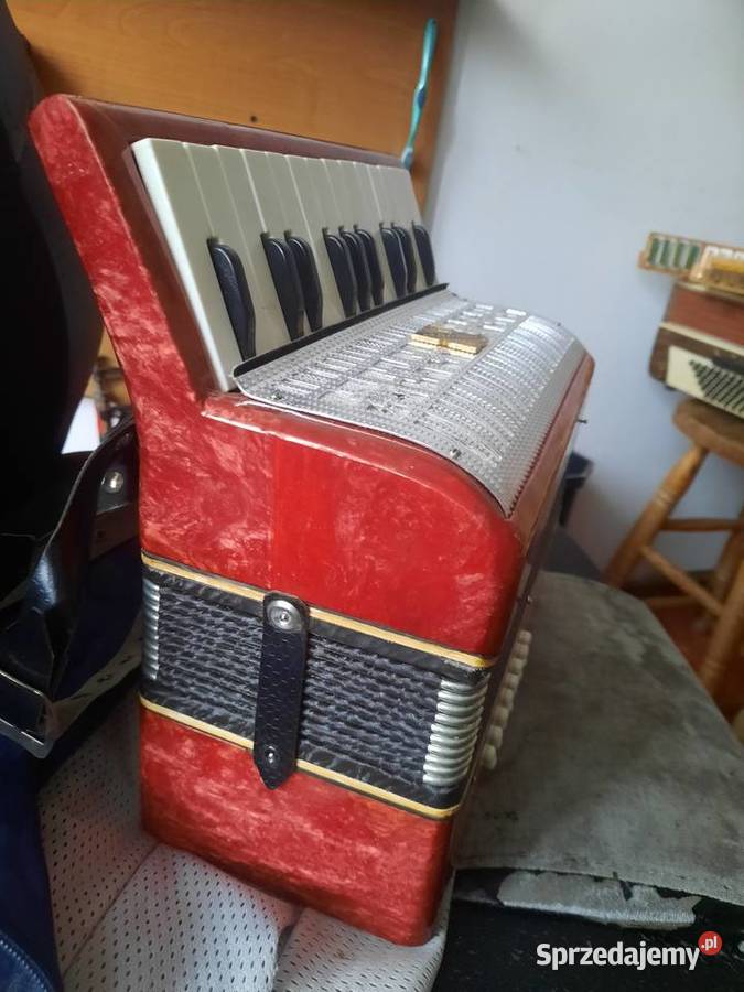 Akordeon Małysz