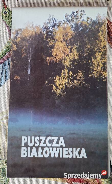 Puszcza Białowieska mapa