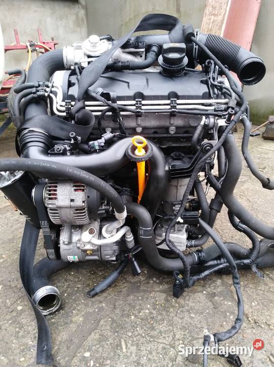 Silnik 19 tdi BKC BXE Touran Caddy Passat b6