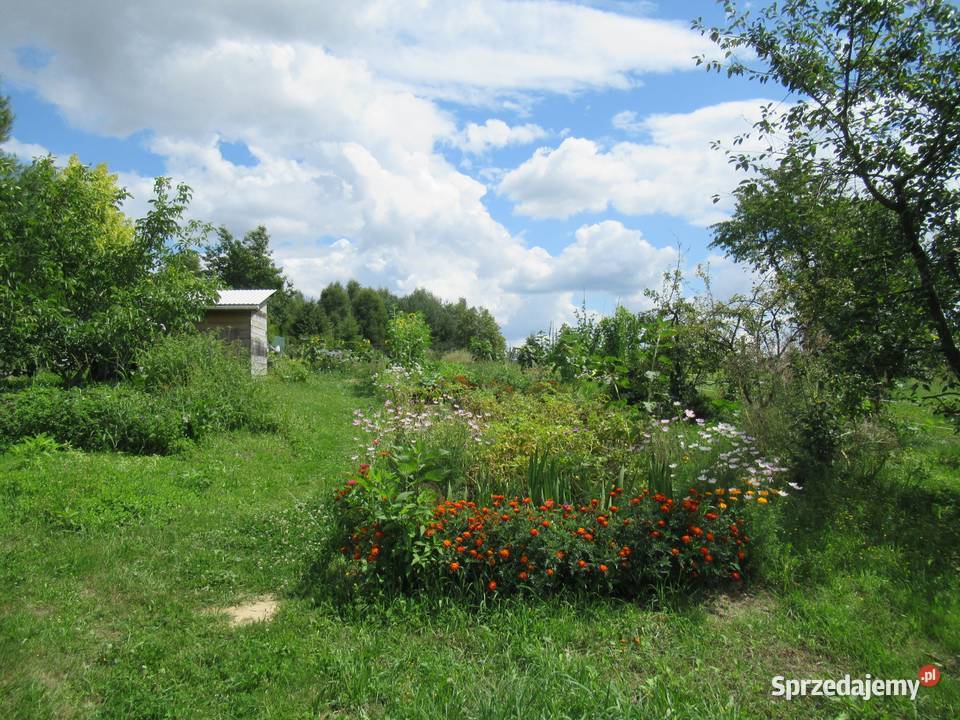 Działka rolnobudowlana kKrakowa