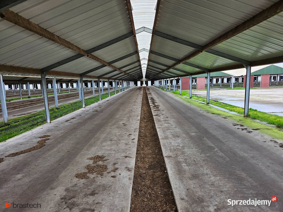 Hala stalowa ocynkowana używana IPE140 m2 Sątoczno