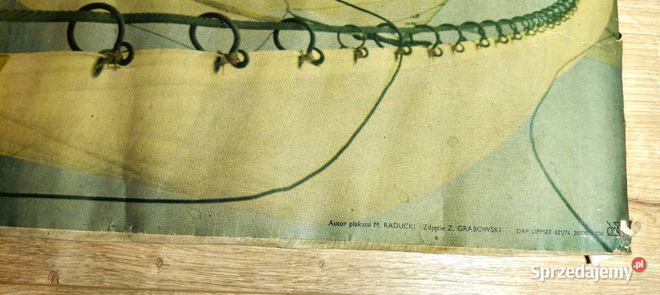 Plakat na płótnie 1974 r Operacja Żagiel vintage Antyki, Sztuka, Kolekcje