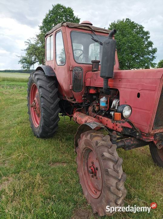 Sprzedam MTZ 50 sprowadzony z Niemiec Napęd 2x4 lubuskie Żary