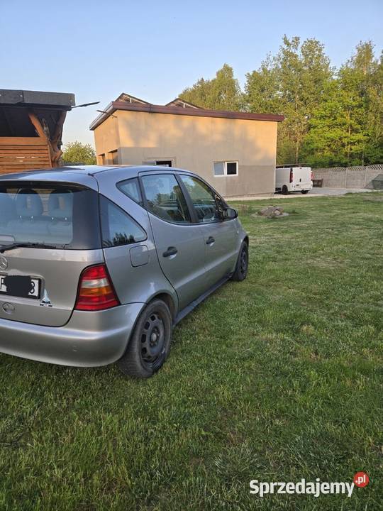 Mercedes Benz Skronina