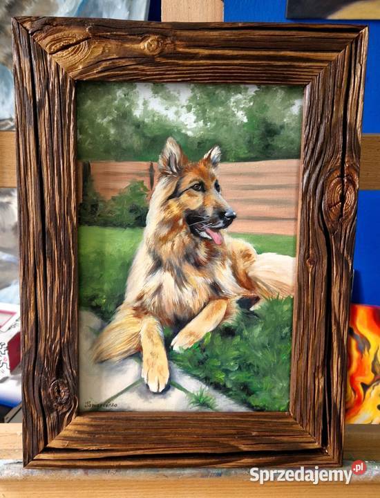 Owczarek niemiecki obraz ręcznie malowany 20x30 Męcina