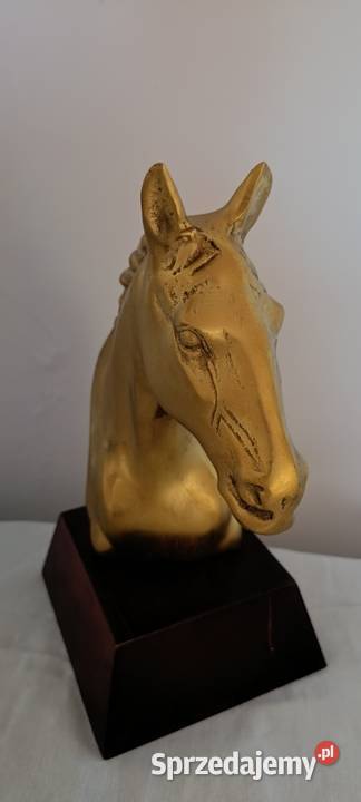 Głowy konia wykonane z mosiądzu małopolskie Tarnów