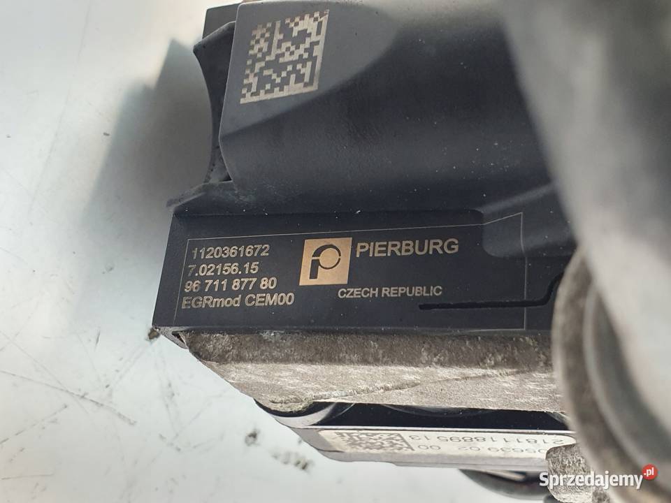 CHŁODNICA SPALIN EGR Ford Focus III 16 TDCI Chełm