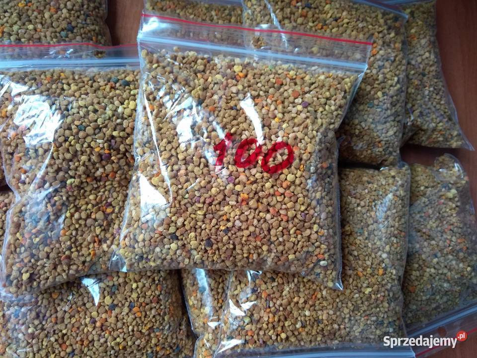 Plaster miodu Miód w plastrach Miód żywyj Ramka