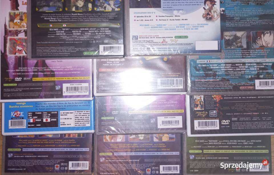 11x DVD anime manga FRANCUSKIE FOLIA SheRa Heman Rzeszów