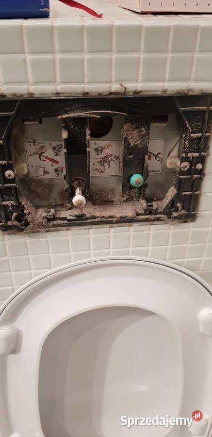 Serwis spłuczek w zabudowie Geberit Koło Warszawa