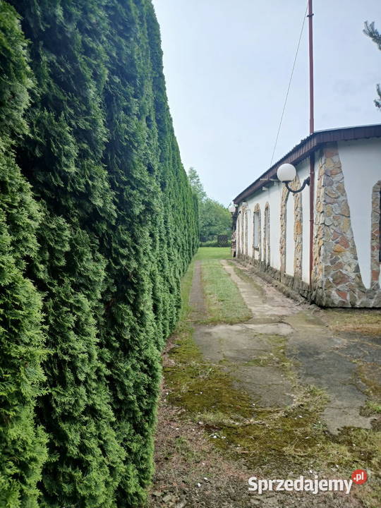 Sprzedam działkę o powierzchni 05 h Sochaczew