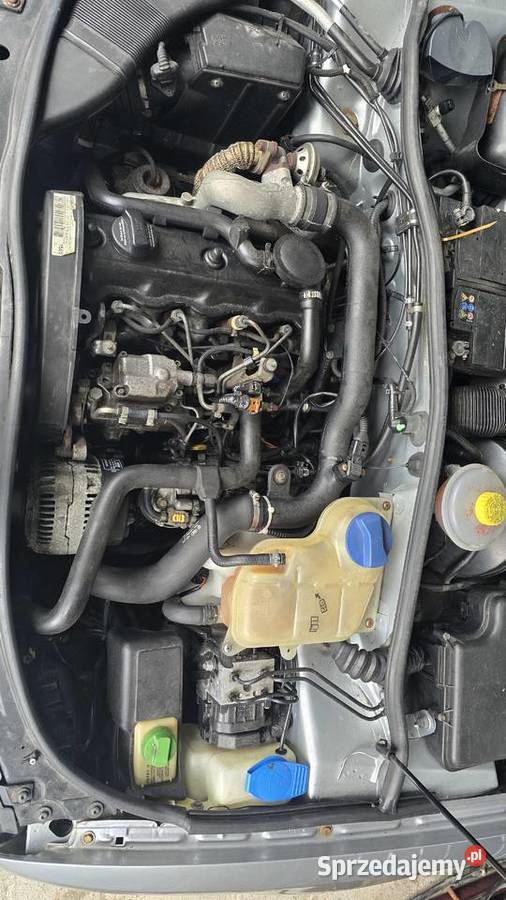 A4 B5 tdi quattro Istebna