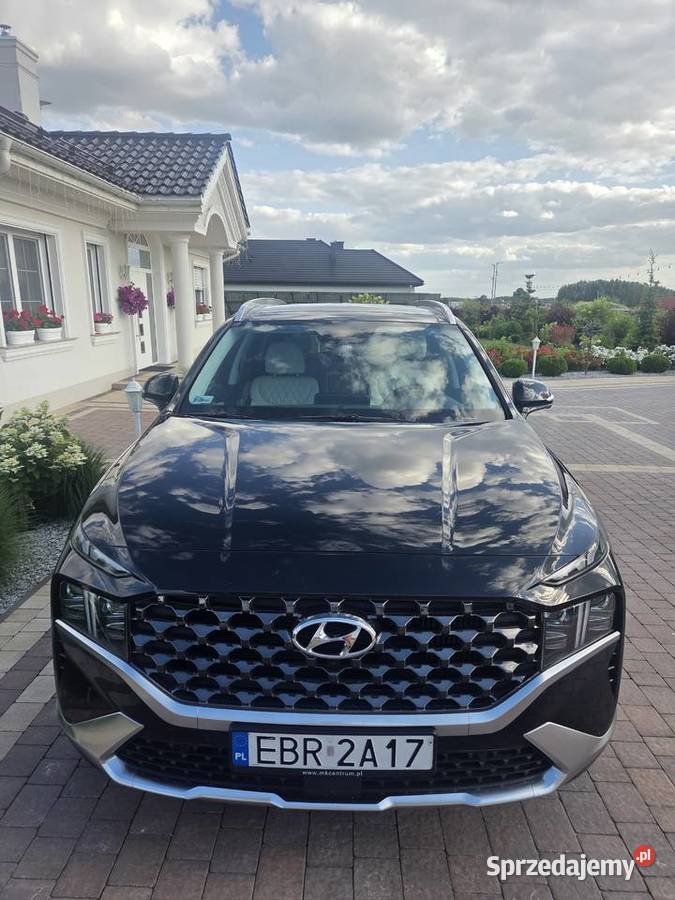 Hyundai Santa Fe PlugIn Hybrid 4WD Platinum z Eufeminów