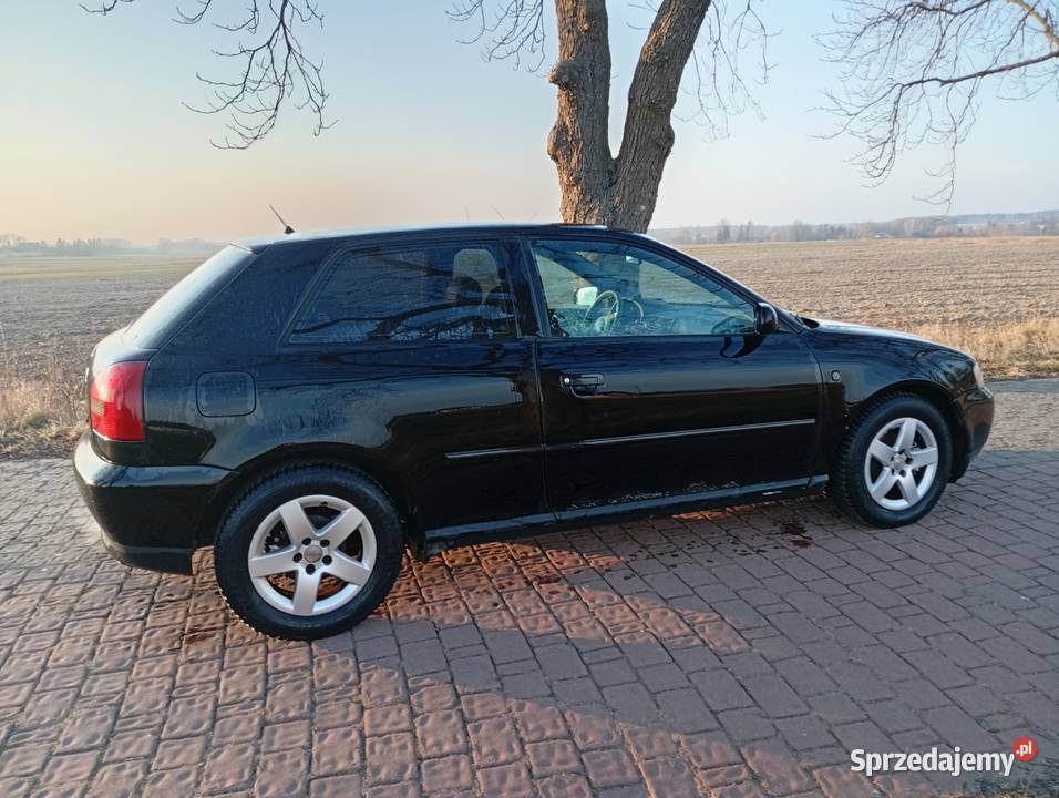 Sprzedam Audi mazowieckie Łąki sprzedam