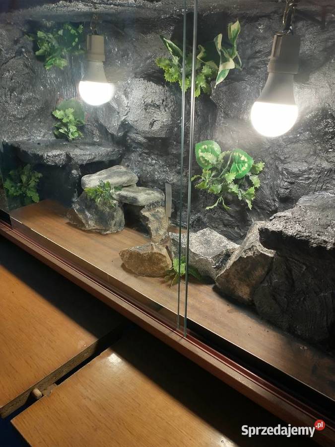 Terrarium 90x45x35 plus tło strukturalne Jarosław