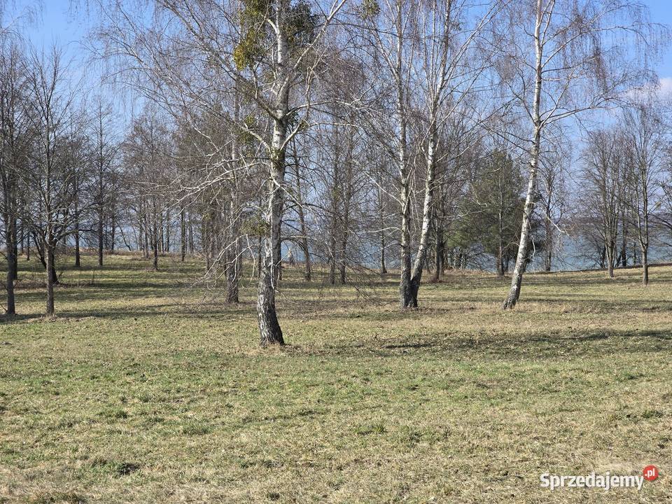 Linia brzegowa Śniardwy