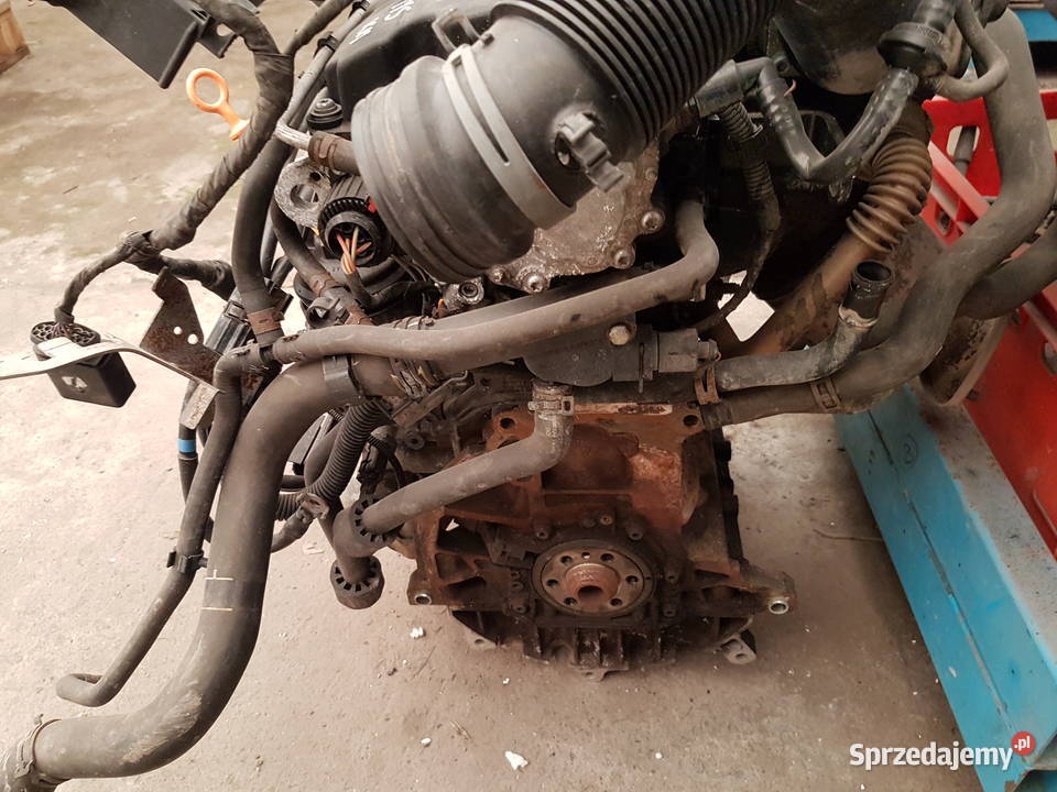 VW CADDY 2K0 SILNIK 19 SDI BST SILNIK KOMPLETNY Turek sprzedam