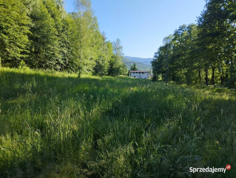 Działka budowlana Głębock Karkonosze 6584m2