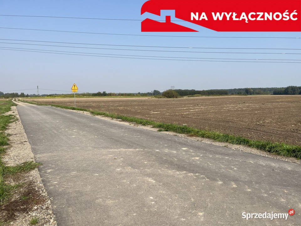 Działka rolnobudowlana 031 ha w Gołębiu kPuław asfalt Gołąb