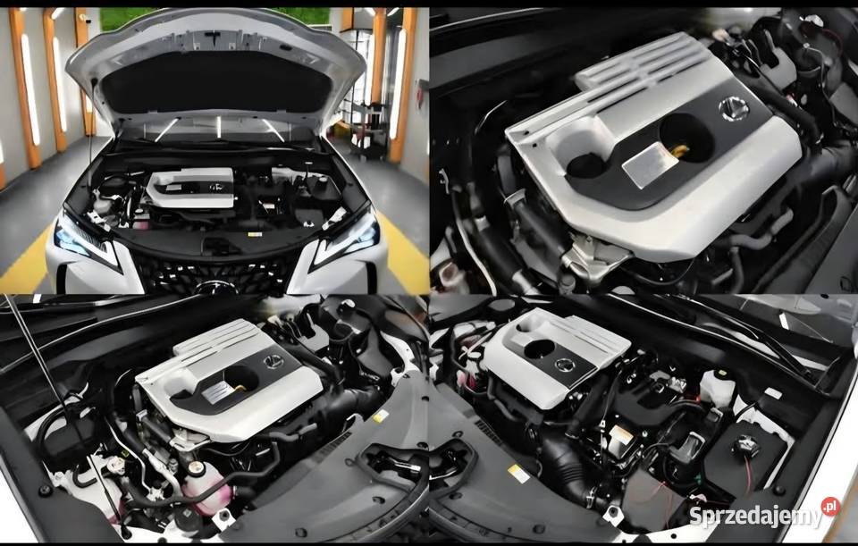 Lexus UX 250H Omotenashi Mark Levinson premium Lublin sprzedam
