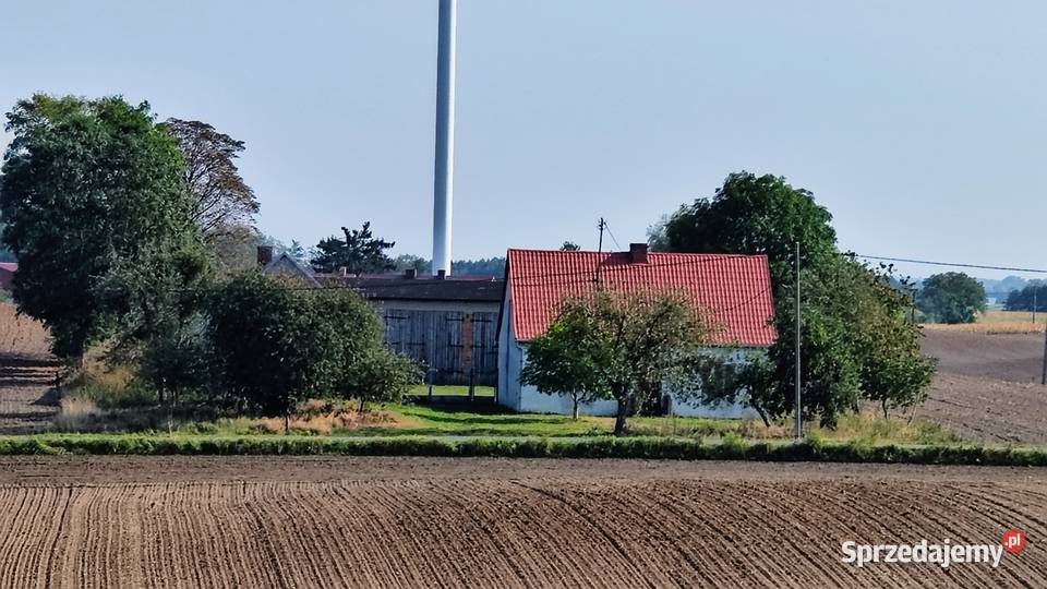 Sprzedam gospodarstwo dom budynki gospodarcze Osieczek