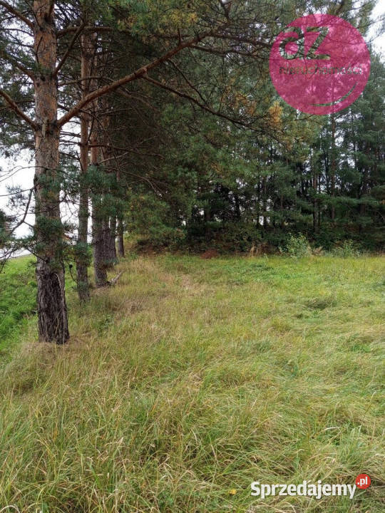 Działka inwestycyjna w miejscowości Łużna