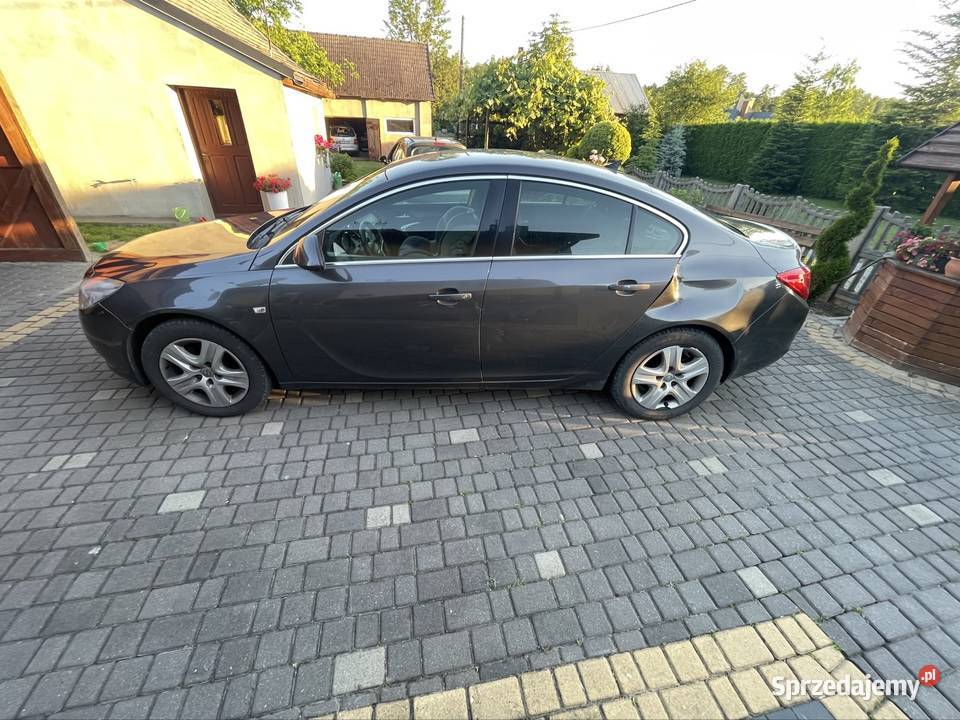 Opel Insignia szary Sokołów Małopolski