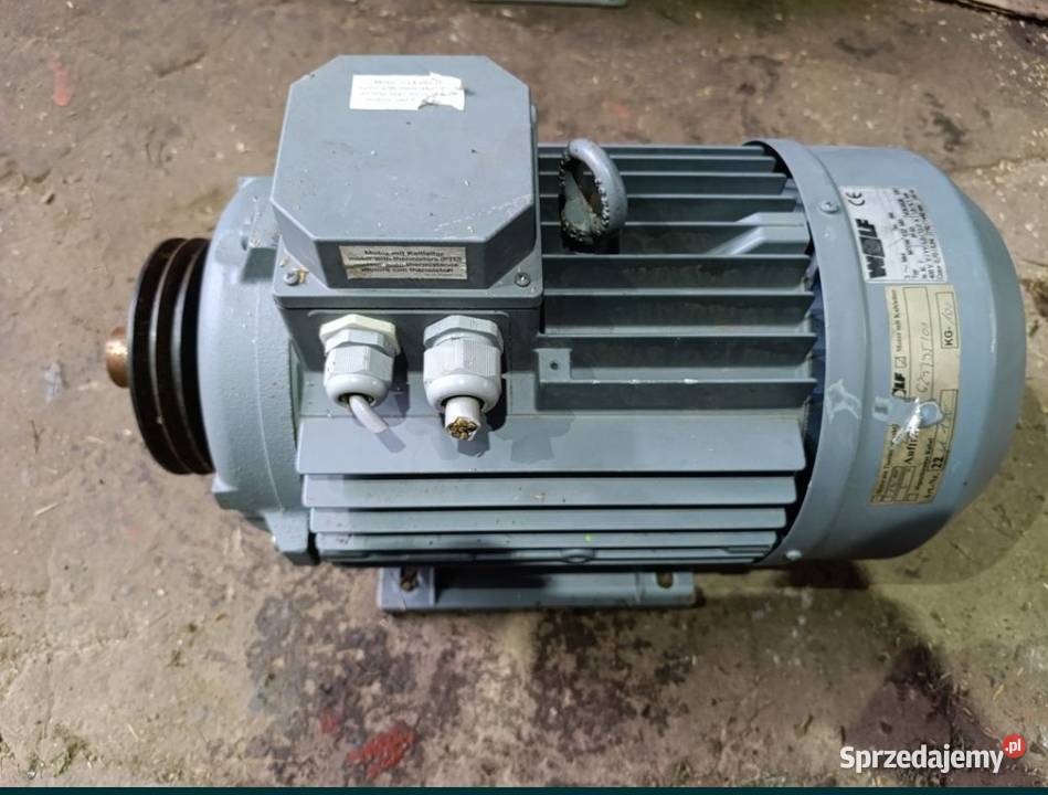 Silniki dwubiegowe Czerskie Rumunki