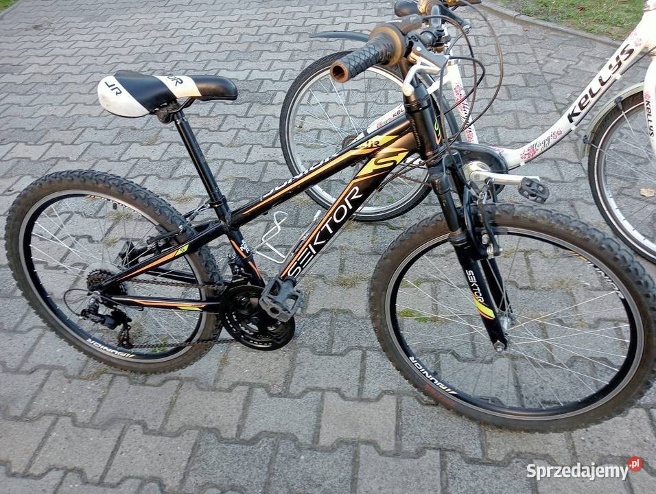Rower dziecięcy Kellys 24 cala100 sprawny gotowy Sport i Wypoczynek Jaworzno sprzedam