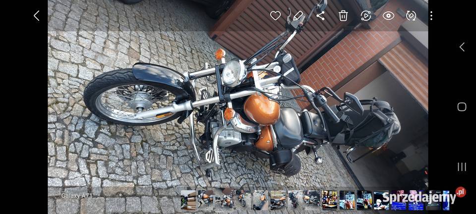 Suzuki intruder Leszno