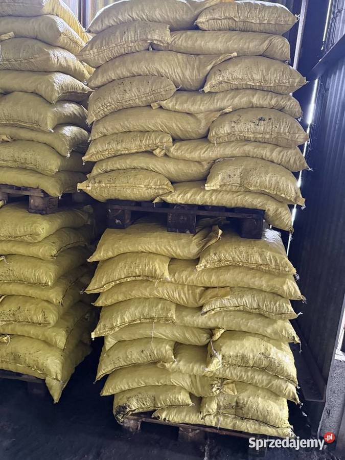 Ekogroszek Workowany luzem Łaziska Górne