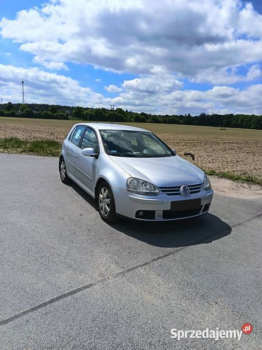 Volkswagen Golf V Hatchback wielkopolskie Waki
