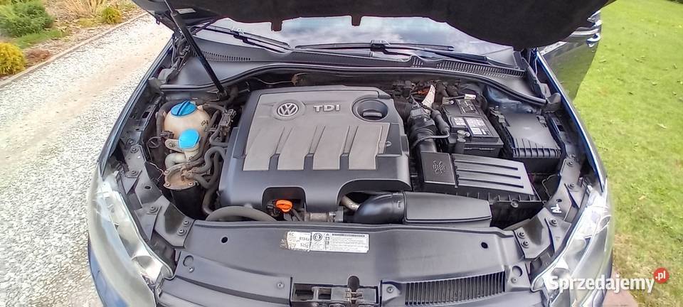 VW GOLF VI 16 105 2010 bluetooth Lisów