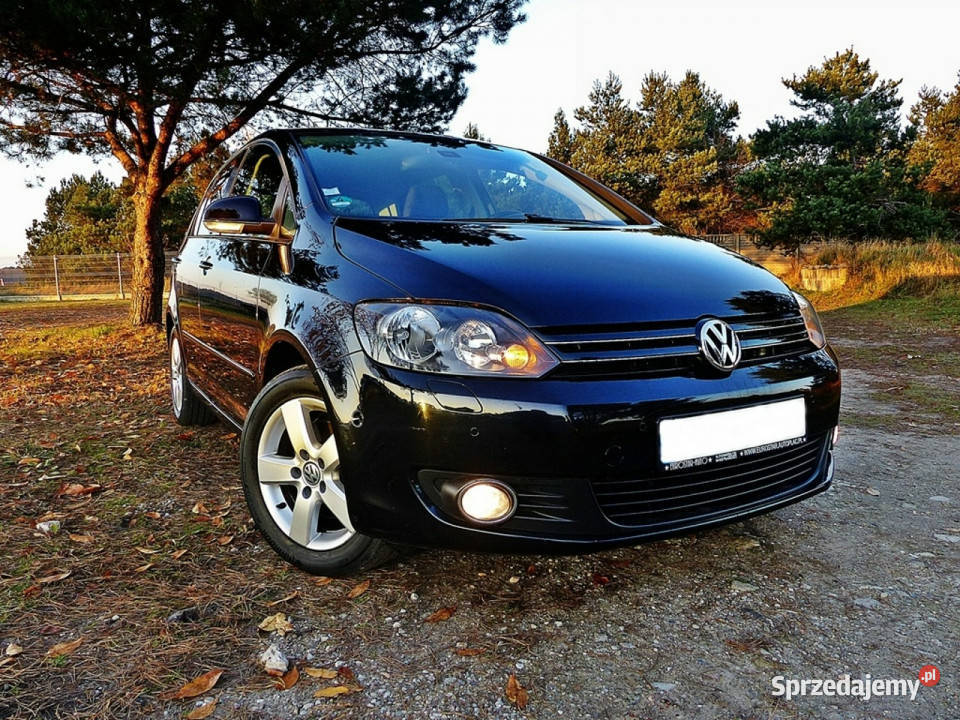Volkswagen Golf Plus 14 TSITEAMClimatronicPełna światła do jazdy dziennej Golf Plus wielkopolskie Piła