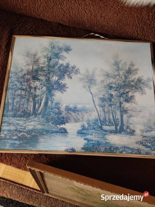 Obrazkrajobraz woda drzewa Bydgoszcz sprzedam