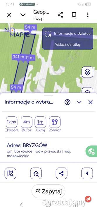 Działka rolna zalesiona Sprzedaż Bryzgów