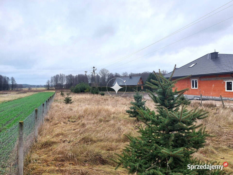 Działa budowlana Serpelice n Bugiem