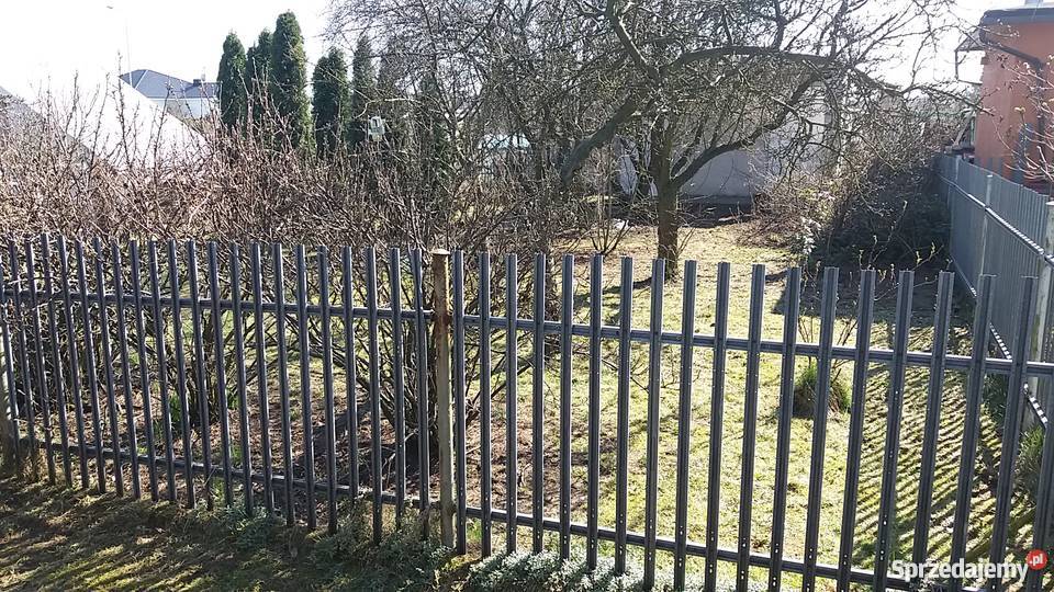 Sprzedam ogródek działkowy wielkopolskie Szamotuły