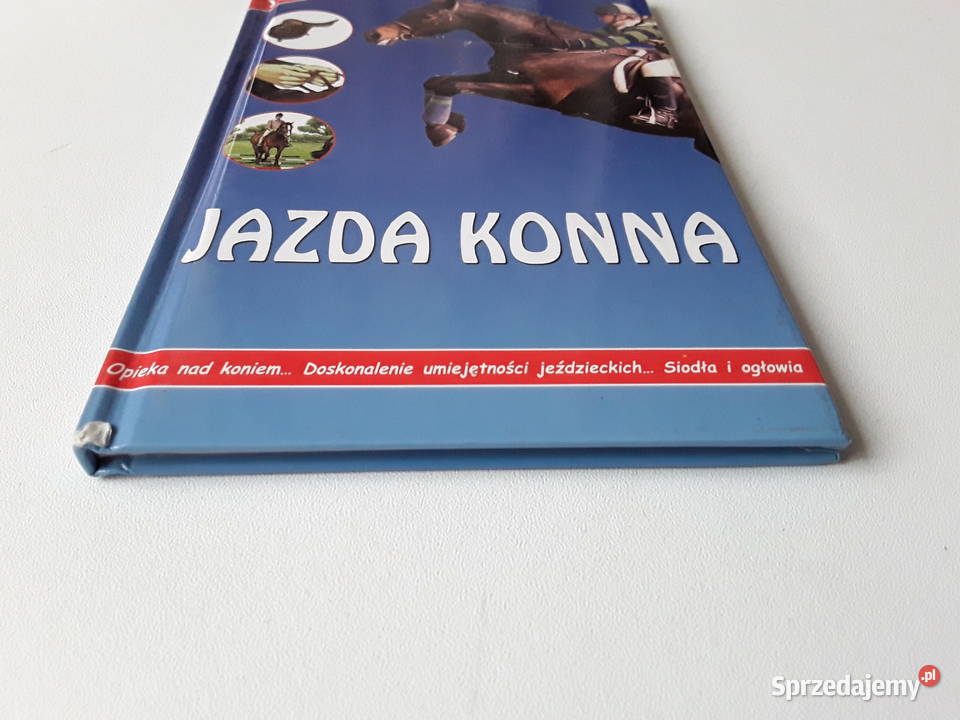 JAZDA KONNA KOLEKCJA JUNIORA lubuskie Gorzów Wielkopolski