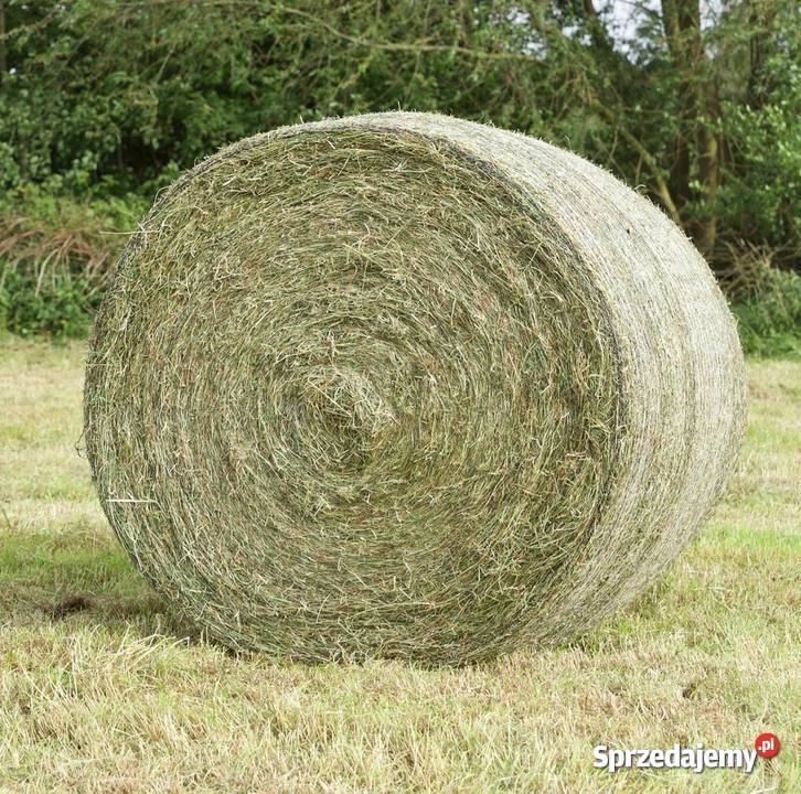 Sprzedam siano sianokiszonke owies słome Frygnowo