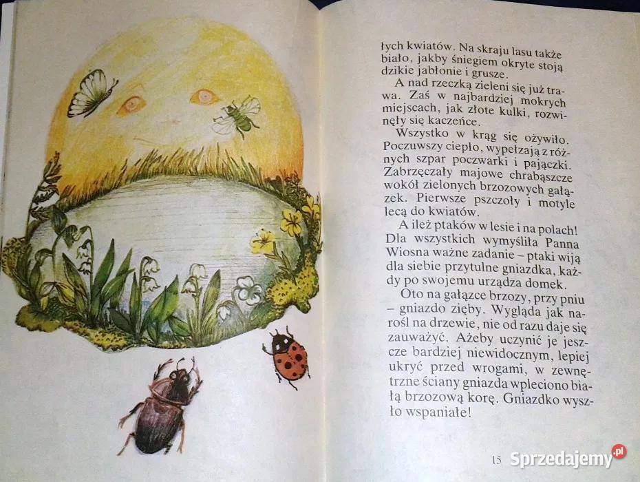 Malarze czarodzieje Georgi Skriebicki Chełm