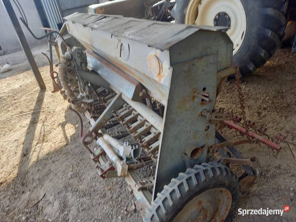 Poznaniak Biała Podlaska sprzedam